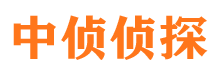 河东寻人公司